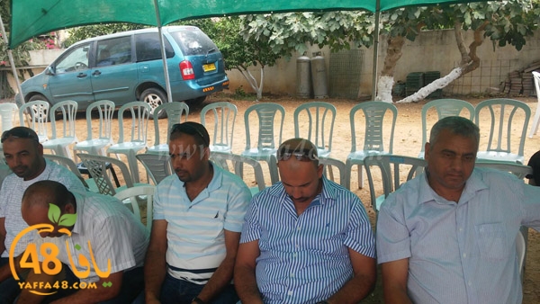 aabo sabalna (9).jpg